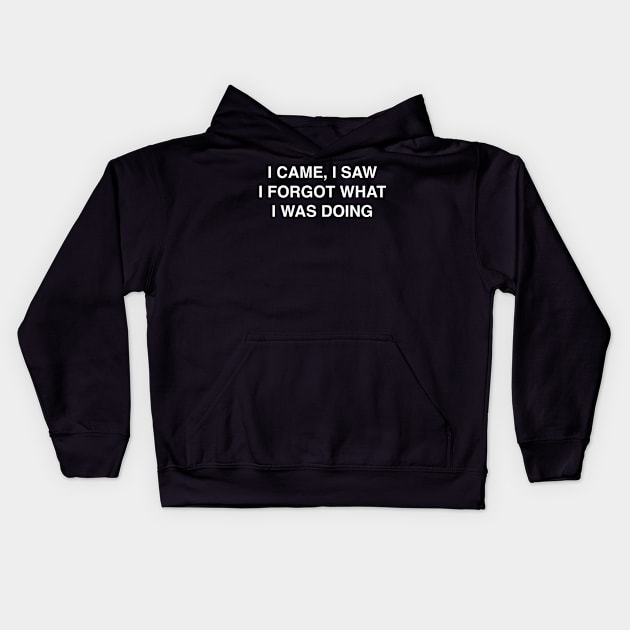 I CAME I SAW Kids Hoodie by TheCosmicTradingPost